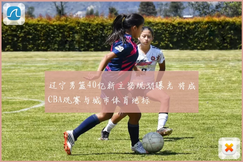 辽宁男篮40亿新主场规划曝光 将成CBA观赛与城市体育地标