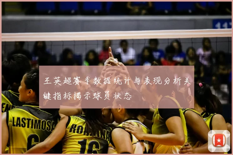 王英超赛季数据统计与表现分析关键指标揭示球员状态