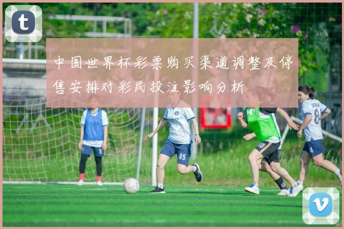 中国世界杯彩票购买渠道调整及停售安排对彩民投注影响分析